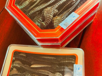 海马系列产品图3